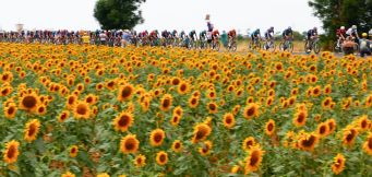 Tour de France 2026 etape 16: forudsigelser til enkeltstarten