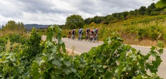 Vuelta 2026 etapetips: her kan Pedersen og Skjelmose slå til