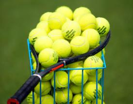 Wimbledon 2026 herrer: kan Sinner forsvare titlen?