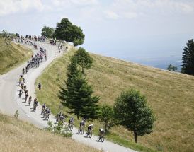 Tour de France 2026 etape 19: forudsigelser på Alpe d'Huez