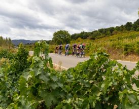 Vuelta 2026 etapetips: her kan Pedersen og Skjelmose slå til