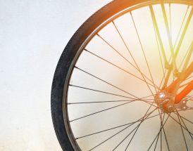 Danske ryttere ved cykel-VM 2026: resultater og chancer i Montreal