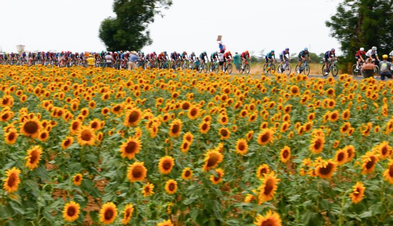 Tour de France 2026 etape 16: forudsigelser til enkeltstarten