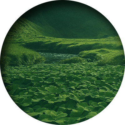 Irland