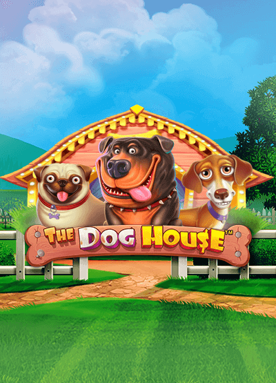 thedoghouse