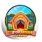 The-Dog-House
